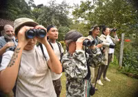 Chùm ảnh tuyệt đẹp Hội chợ chim Colombia 2024