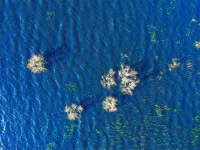 Chùm ảnh: Trái đất đẹp tuyệt vời khi nhìn từ trên cao 