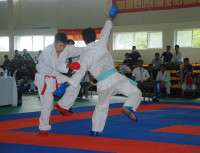 Khai mạc giải Karatedo và Cầu lông sinh viên, học sinh chuyên nghiệp toàn quốc ảnh 6