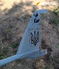 Nga mổ xẻ UAV trị giá hàng trăm ngàn euro sau khi bắn hạ 