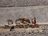 Chùm ảnh người dân Pakistan trong cái nóng vượt 52 độ C