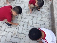  Học tiếng Việt bằng… màu sắc! ảnh 2