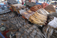 Dạo "vương quốc mắm" vùng biên Châu Đốc ảnh 16