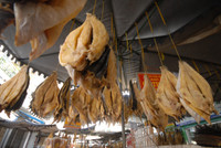 Dạo "vương quốc mắm" vùng biên Châu Đốc ảnh 15