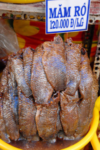 Dạo "vương quốc mắm" vùng biên Châu Đốc ảnh 10