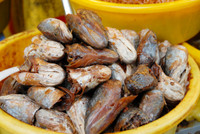 Dạo "vương quốc mắm" vùng biên Châu Đốc ảnh 11