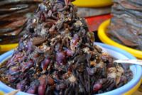 Dạo "vương quốc mắm" vùng biên Châu Đốc ảnh 12