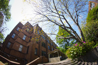 16767661953-6d345fe790-o-3156-1431328277