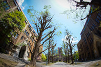 17180477647-b37af2b31b-o-4739-1431328277