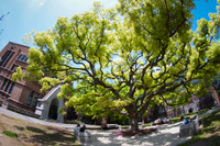 16767652443-a09f7d9402-o-5224-1431328277