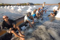 Về miền Tây xem muối mặn mồ hôi rơi ảnh 13