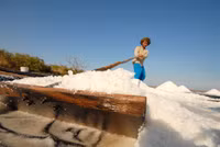 Về miền Tây xem muối mặn mồ hôi rơi ảnh 4