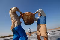 Về miền Tây xem muối mặn mồ hôi rơi ảnh 8