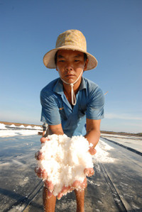 Về miền Tây xem muối mặn mồ hôi rơi ảnh 12