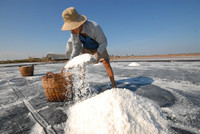 Về miền Tây xem muối mặn mồ hôi rơi ảnh 7