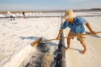 Về miền Tây xem muối mặn mồ hôi rơi ảnh 3