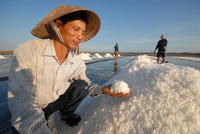 Về miền Tây xem muối mặn mồ hôi rơi ảnh 11