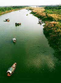 Hà Nội đẹp mơ màng mùa hoa cỏ lau - 4