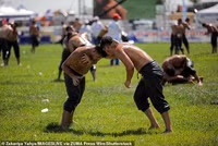 Chùm ảnh đô vật Thổ Nhĩ Kỳ bôi dầu oliu thi đấu