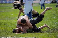 Chùm ảnh đô vật Thổ Nhĩ Kỳ bôi dầu oliu thi đấu