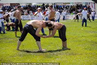 Chùm ảnh đô vật Thổ Nhĩ Kỳ bôi dầu oliu thi đấu