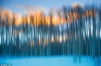 Bức ảnh kì quái có giá 138 tỷ đồng ảnh 4