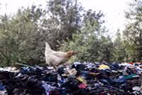 Chùm ảnh chợ quần áo cũ khổng lồ ở Kenya