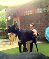 Gap go 24 chu cho khong lo sieu dang yeu