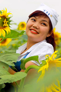 Hướng dương khoe sắc ảnh 11