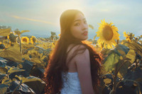 Hướng dương khoe sắc ảnh 3