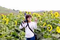 Hướng dương khoe sắc ảnh 9