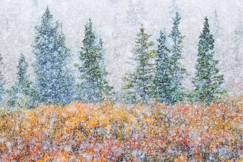 Những bức ảnh cực độc đáo đoạt giải về bảo tồn thiên nhiên 2023 