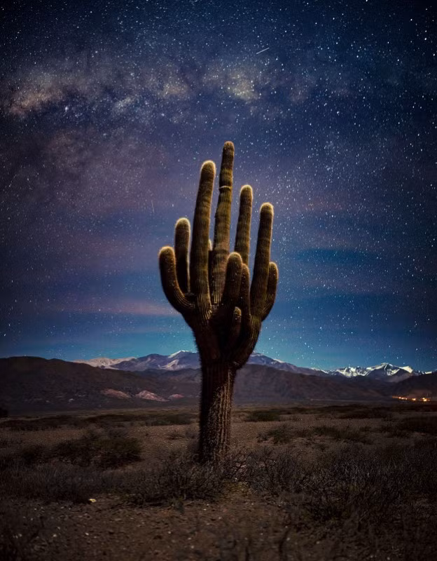 Những bức ảnh cực độc đáo đoạt giải về bảo tồn thiên nhiên 2023 