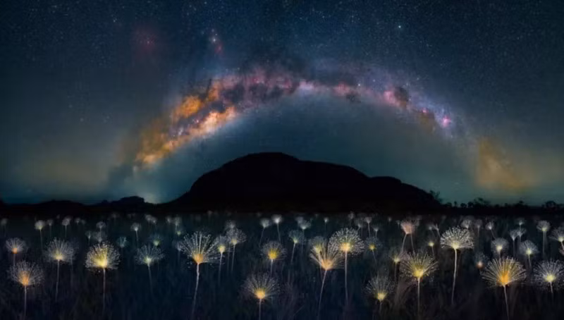 Cuộc thi Nhiếp ảnh Thiên nhiên công bố người chiến thắng