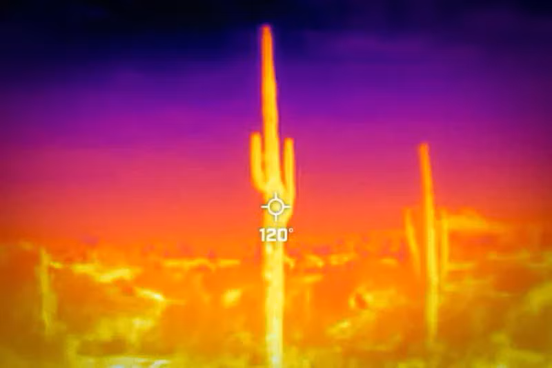 Thế giới 2023 trải qua nắng nóng kỷ lục như thế nào?