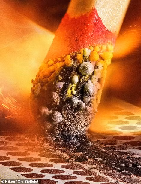 Cận cảnh đầu que diêm bị phồng rộp khi nó cháy dọc theo hộp diêm. Bức ảnh của nghệ sĩ kỹ thuật số người Đức Ole Bielfeldt đã giành giải Nhì năm nay. Loạt tác phẩm ấn tượng trong cuộc thi chụp ảnh qua kính hiển vi