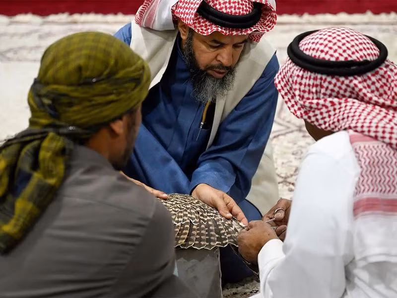 Chùm ảnh: Nghệ thuật sửa lông chim ưng phát triển ở Ả Rập Saudi 