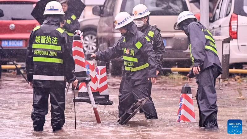 Chùm ảnh bão Talim quật đổ cây, hoành hành ở Trung Quốc 