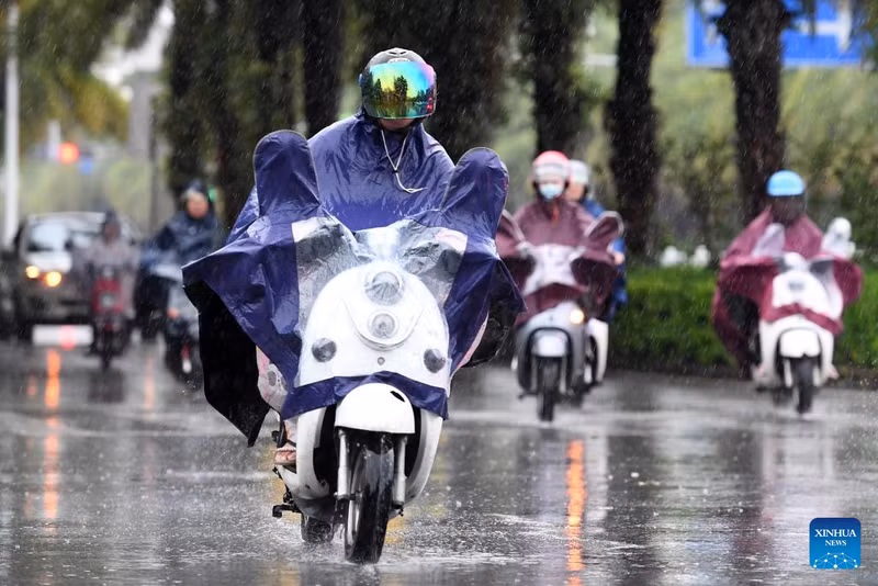 Chùm ảnh bão Talim quật đổ cây, hoành hành ở Trung Quốc 