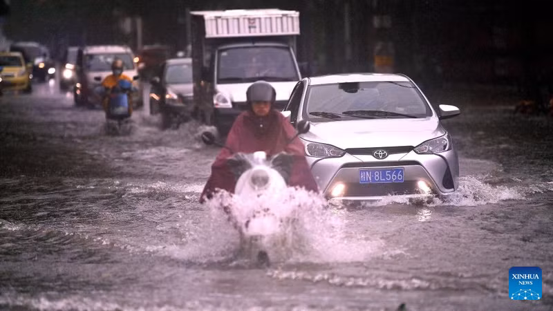 Chùm ảnh bão Talim quật đổ cây, hoành hành ở Trung Quốc 