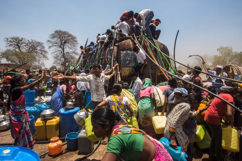Chùm những bức ảnh ấn tượng đoạt giải về môi trường