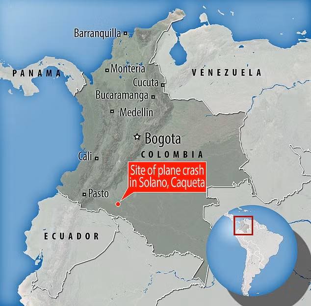 Chùm ảnh giải cứu 4 em nhỏ mất tích 6 tuần sau tai nạn máy bay 