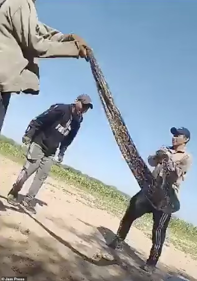 Video nhóm người dùng trăn làm dây nhảy gây phẫn nộ trên mạng xã hội