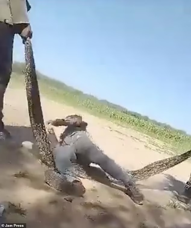 Video nhóm người dùng trăn làm dây nhảy gây phẫn nộ trên mạng xã hội