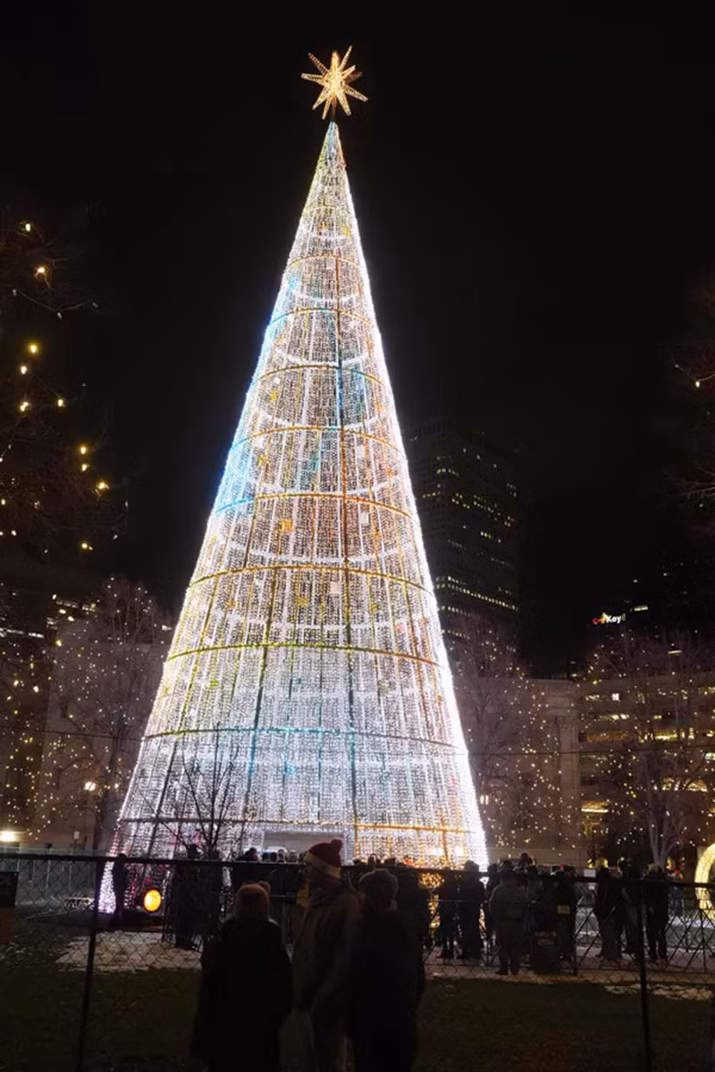 Mãn nhãn ngắm loạt cây thông Giáng sinh đẹp nhất 2023 