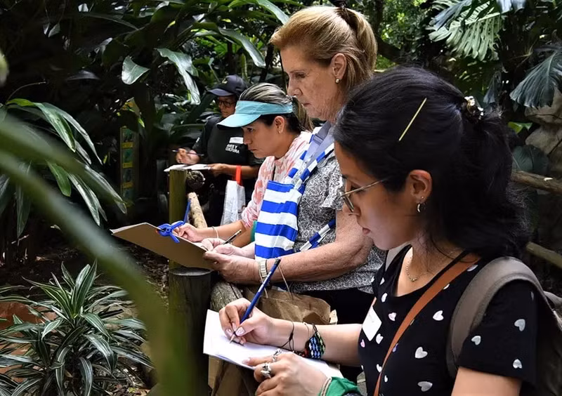 Chùm ảnh tuyệt đẹp Hội chợ chim Colombia 2024