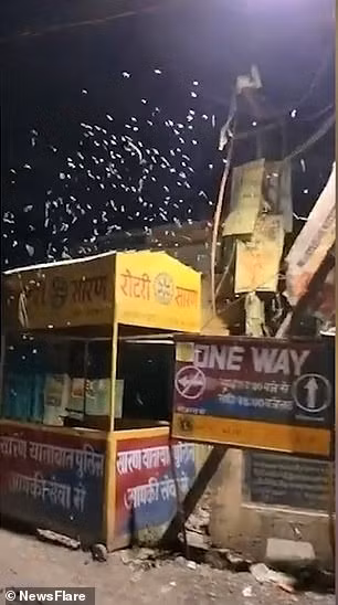 Người ta vẫn chưa biết nguyên nhân khiến những sinh vật giống như mì spaghetti này đổ xuống như mưa, hoặc không biết chúng đến từ đâu. Rùng mình hàng nghìn con sâu trắng từ trên trời rơi xuống