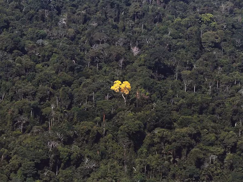 Chùm ảnh: Trái đất đẹp tuyệt vời khi nhìn từ trên cao 