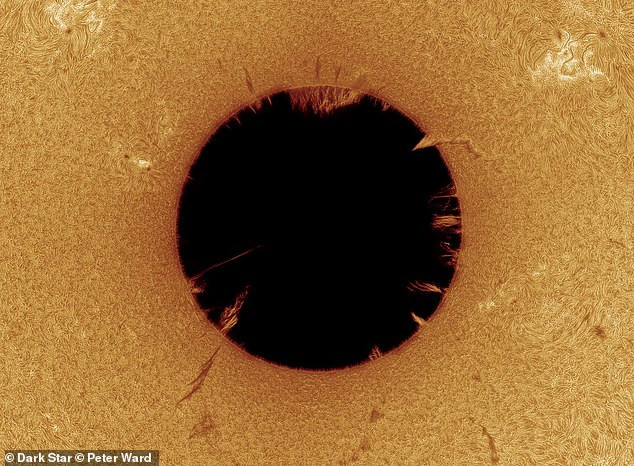 Tác phẩm của Peter Ward mô tả Mặt trời quay 'từ trong ra ngoài'. Nhiếp ảnh gia đã đảo ngược hình ảnh hình chữ nhật lên tọa độ cực để làm nổi những điểm nổi bật nhỏ hơn ở rìa Mặt trời. Mãn nhãn những bức ảnh đoạt giải Nhiếp ảnh gia thiên văn