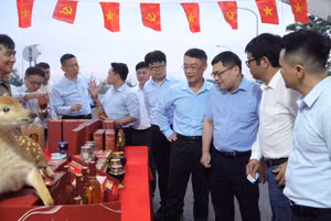 Khách hàng tham quan các gian hàng tại hội chợ.